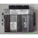 CENTRALITA DE MOTOR, CITROEN XSARA PICASSO, 21646457-5, 216464575, 50409S05, S2000-1, 9644486780, 9643786680-01, 964378668001